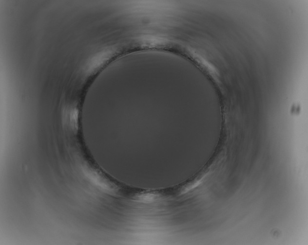 X0000092010067200709201539