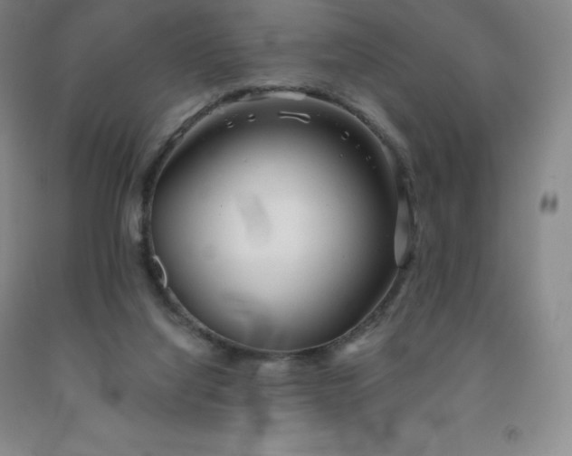 X0000092010068200709201539