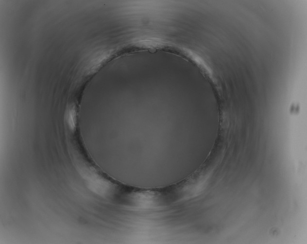 X0000092010069200709201539