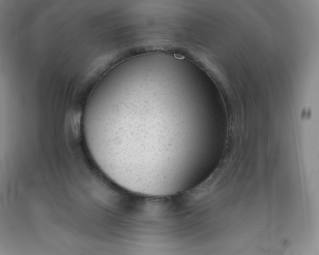 X0000092010070200709201539