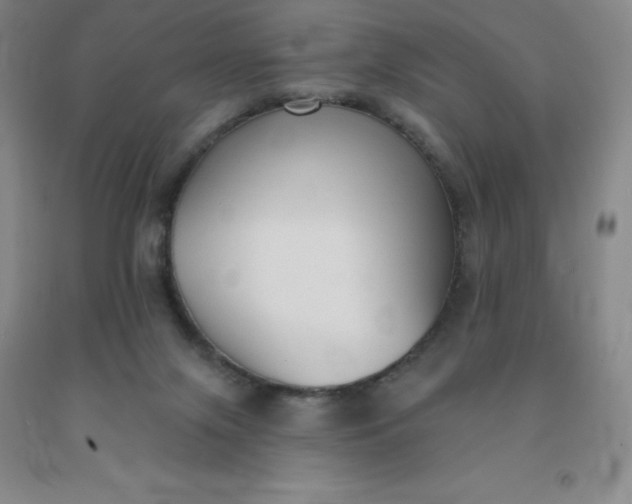 X0000092010071200709201539