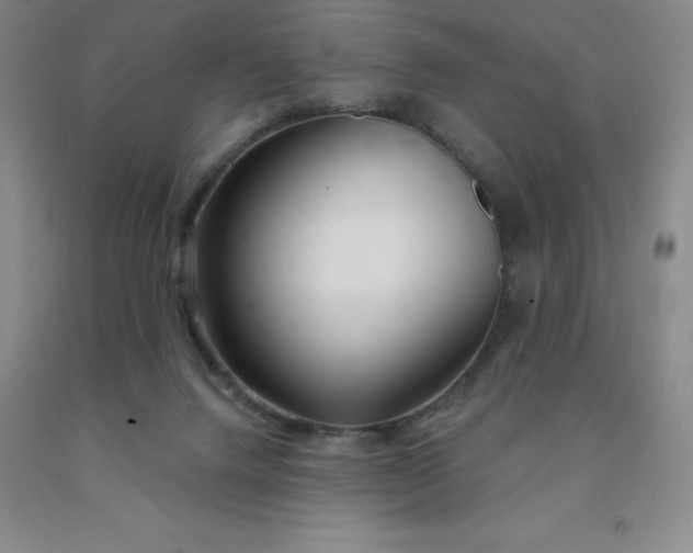 X0000092010072200709201539