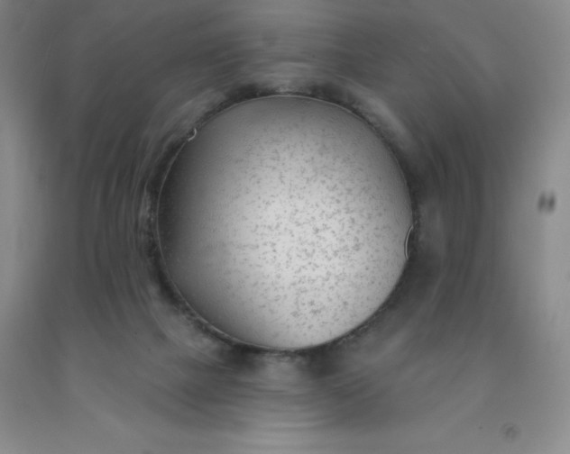 X0000092010073200709201539