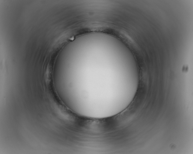 X0000092010074200709201539