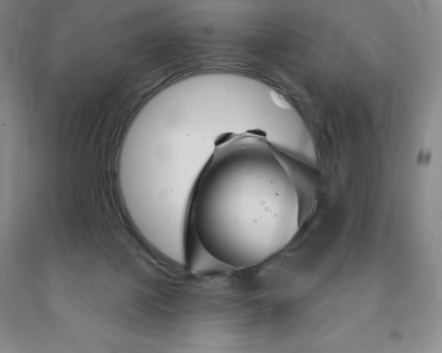 X0000092010075200709201539