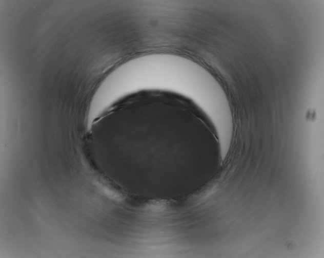 X0000092010076200709201539