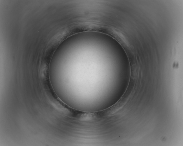 X0000092010077200709201539