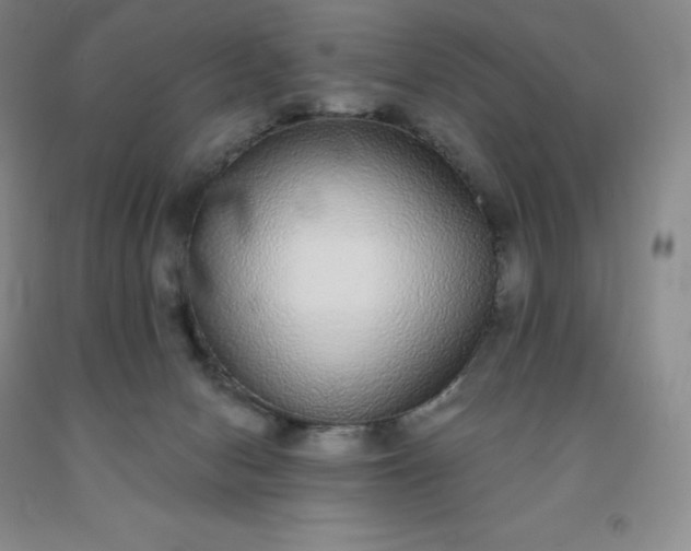 X0000092010078200709201539