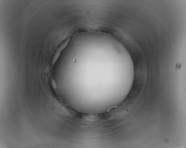 X0000092010079200709201539