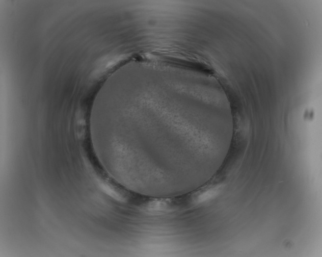 X0000092010080200709201539