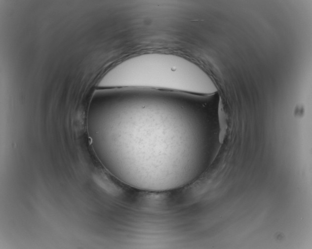 X0000092010081200709201539