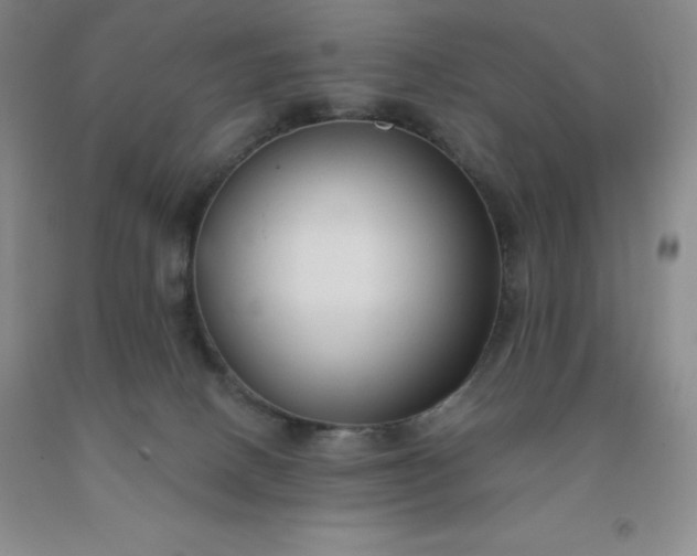 X0000092010082200709201539