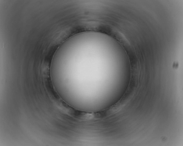 X0000092010083200709201539