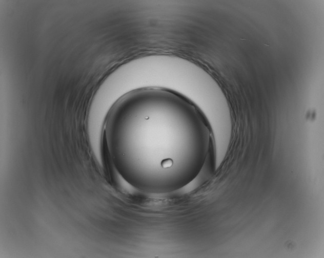 X0000092010084200709201539