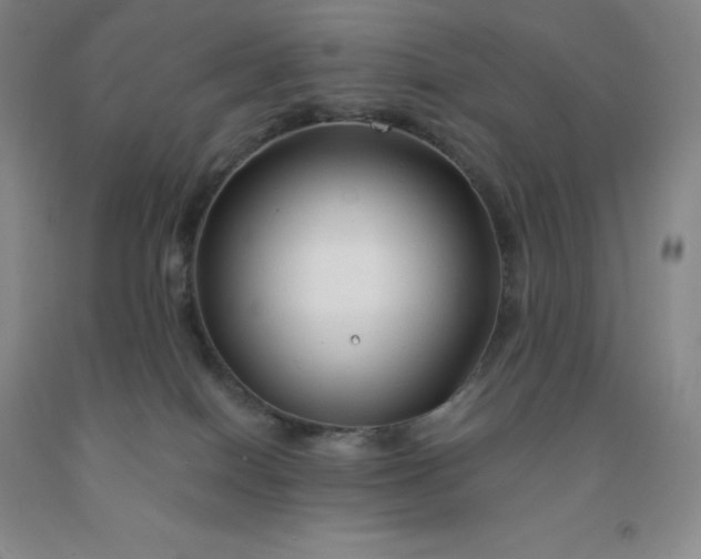 X0000092010086200709201539