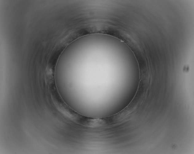 X0000092010087200709201539