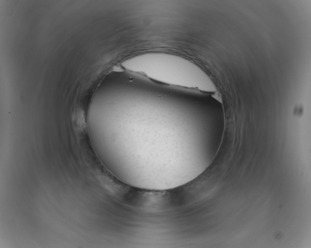 X0000092010089200709201539