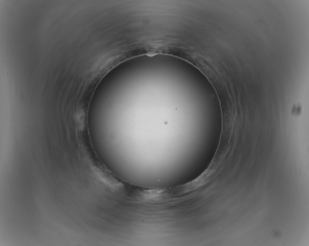 X0000092010090200709201539