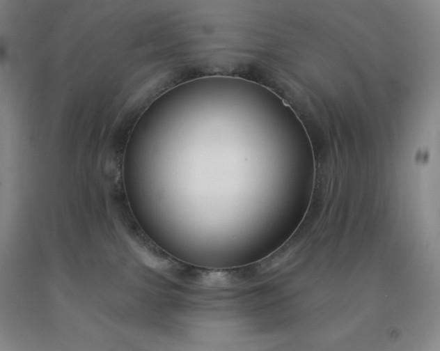 X0000092010091200709201539