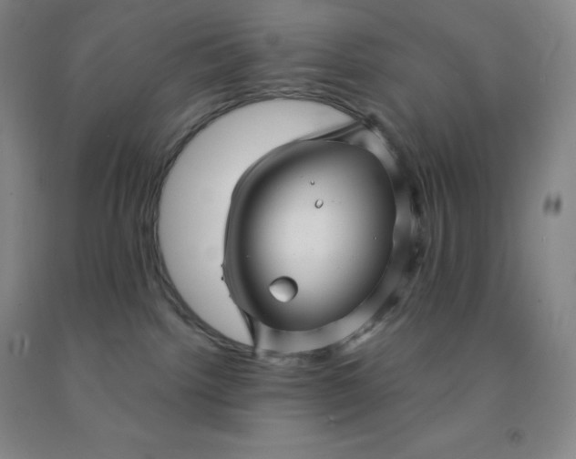 X0000092010092200709201539