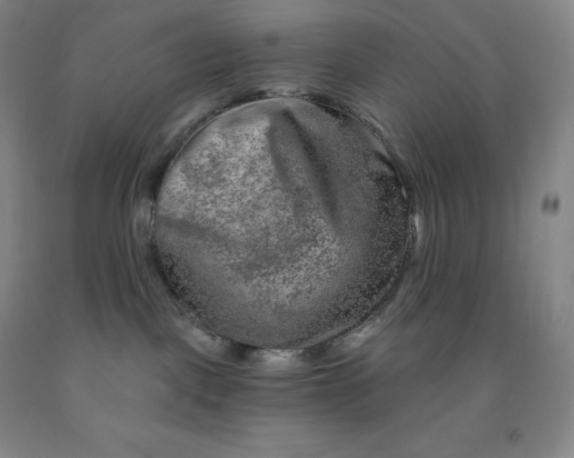 X0000092010093200709201539