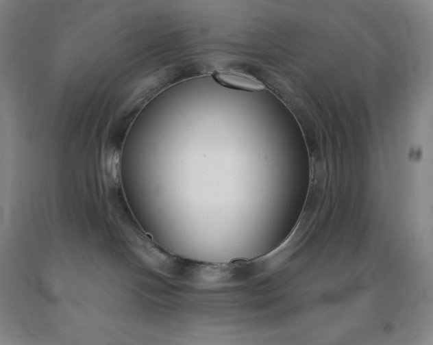 X0000092010094200709201540