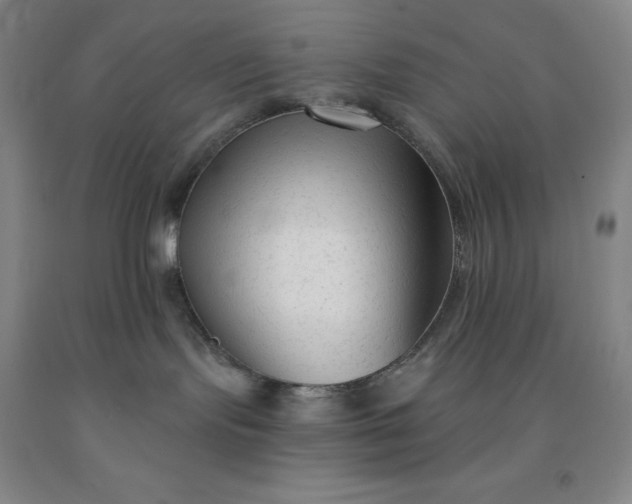 X0000092010095200709201540