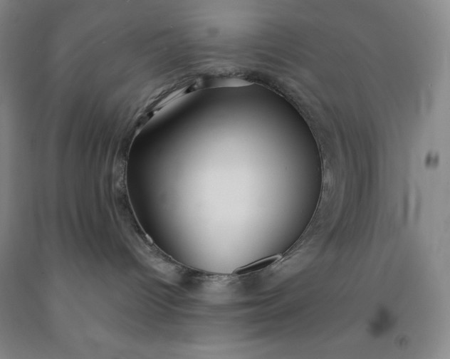 X0000092010096200709201540