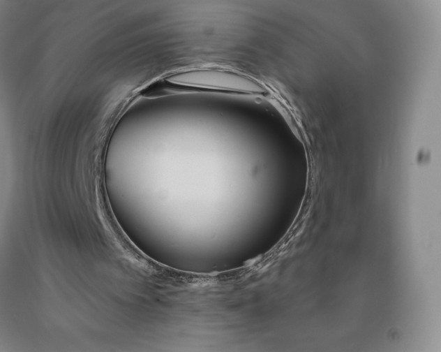 X0000092010097200709201539