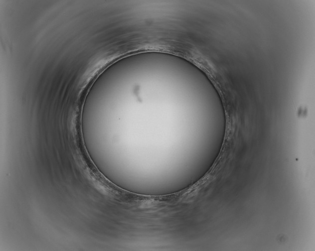 X0000092010098200709201539