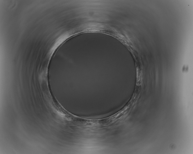 X0000092010099200709201539