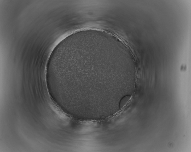 X0000092010100200709201539