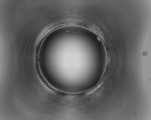 X0000092010101200709201539