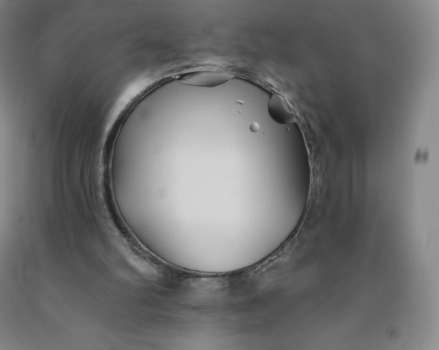 X0000092010102200709201539