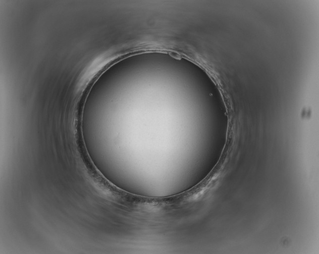 X0000092010103200709201539