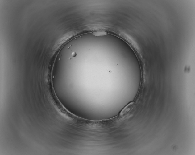 X0000092010105200709201539