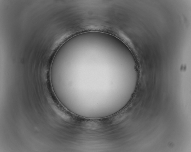 X0000092010106200709201539