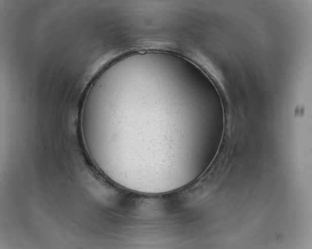 X0000092010107200709201539