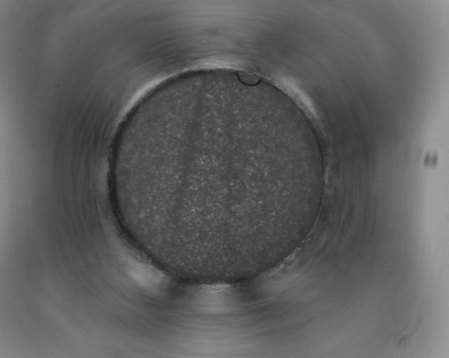 X0000092010108200709201539