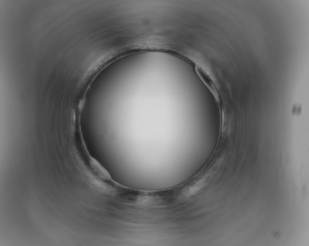 X0000092010109200709201538