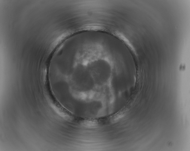 X0000092010110200709201538