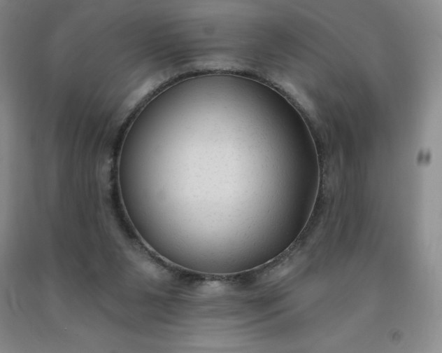 X0000092010111200709201538