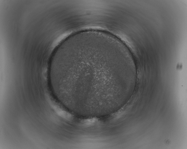 X0000092010112200709201538