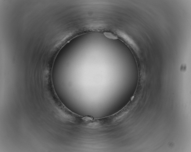 X0000092010113200709201538