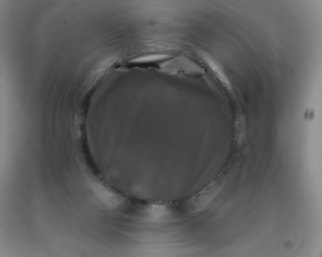 X0000092010114200709201538