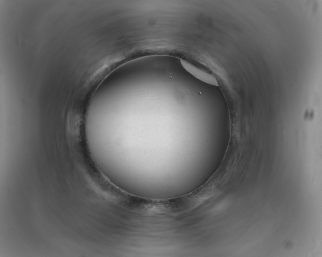 X0000092010115200709201538