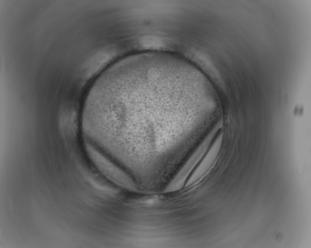 X0000092010116200709201538