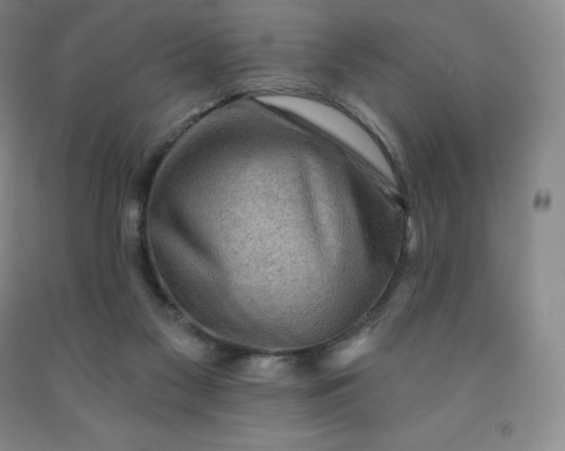 X0000092010117200709201538