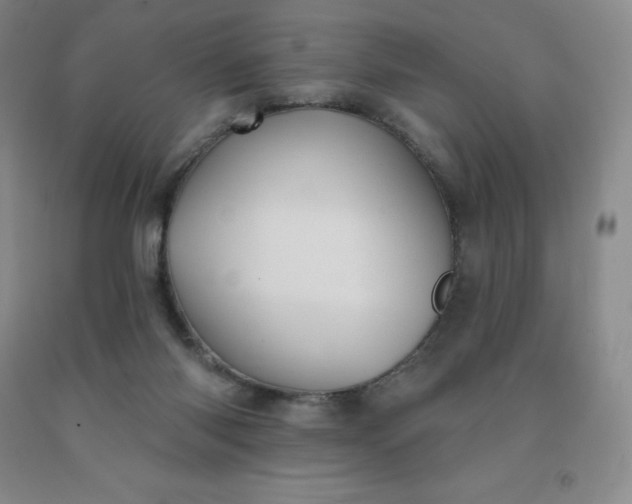 X0000092010118200709201538