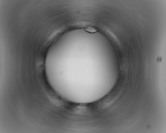 X0000092010119200709201538